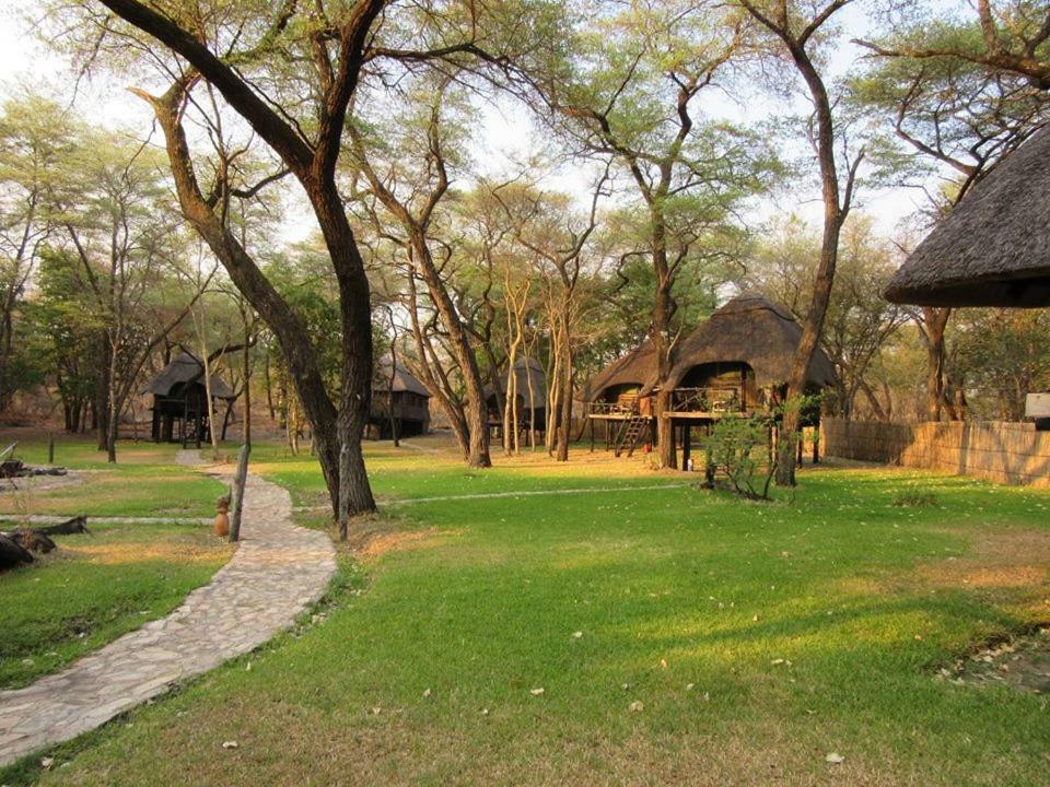 Dete The Tree Lodge At Sikumi المظهر الخارجي الصورة